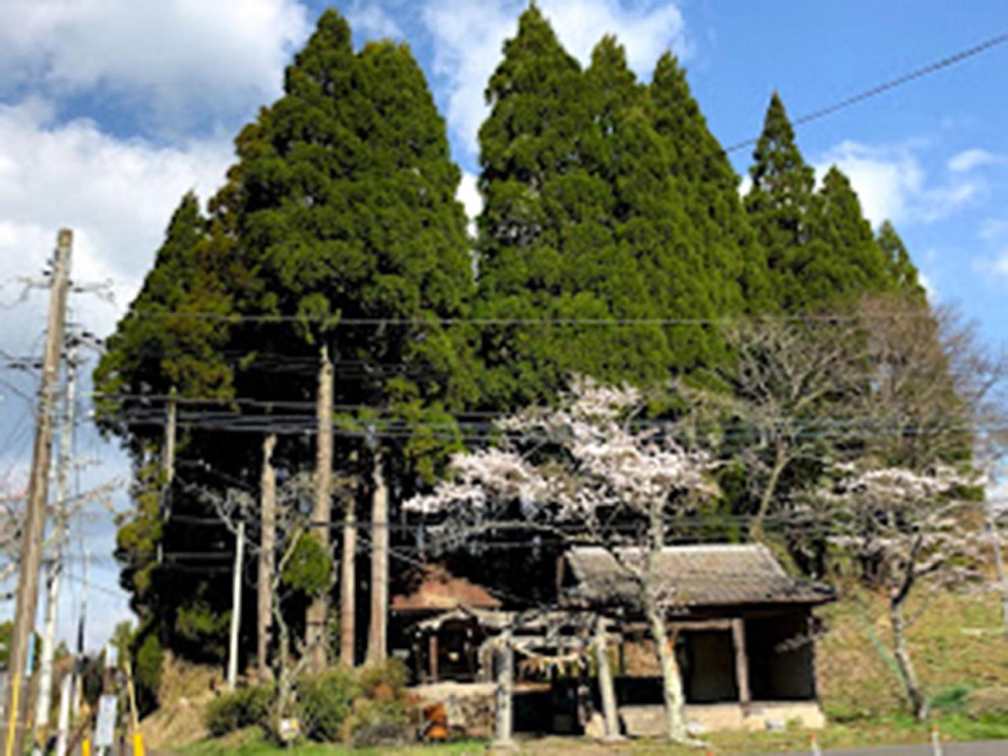 Guesthouse Kurihai Oita Esterno foto